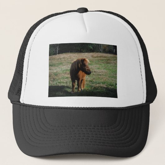 bruine minipaarden trucker pet (Voorkant)