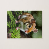 Bruine muis op een varenblad, puzzel (Horizontaal)