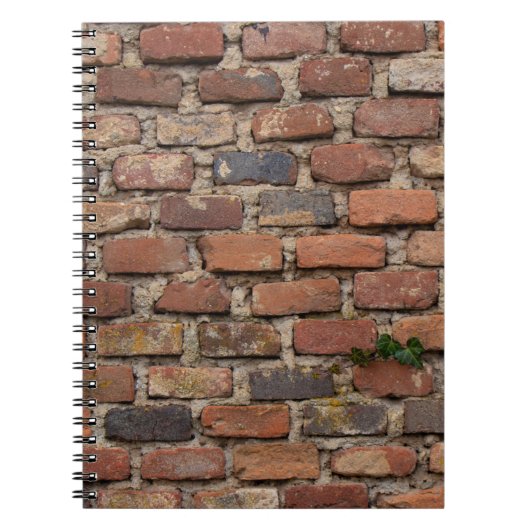 Bruine muur notitieboek (Voorkant)