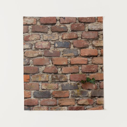 Bruine muur wandkleed (Voorkant)