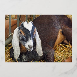 bruine nubian Goat Gold Birthday Folie Uitnodiging