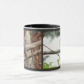 Bruine Nuthatch-Mok Mok (Midden)