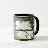 Bruine Nuthatch-Mok Mok (Voorkant rechts)