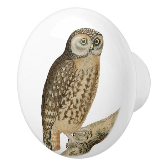 bruine ovale kunst keramische knop (Rechts)