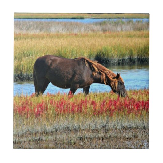 Bruine paard dat graast op een waterweide tegeltje (Voorkant)