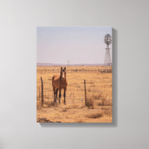 Bruine Paard Windmolen Weiland Zonsondergang Kunst Canvas Afdruk