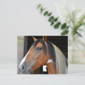 Bruine Paard Witte Bles Zwarte Witte Manen Briefkaart (Staand voorkant)