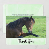  bruine paarden die in de gras liggen Dank u wel Bedankkaart (Voorkant / Achterkant)