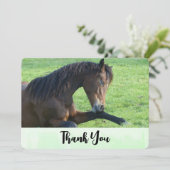  bruine paarden die in de gras liggen Dank u wel Bedankkaart (Staand voorkant)