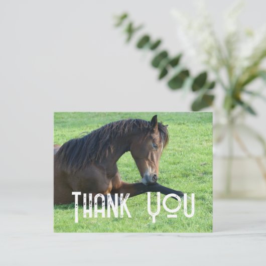  bruine paarden die in de gras liggen Dank u wel Briefkaart (Staand voorkant)