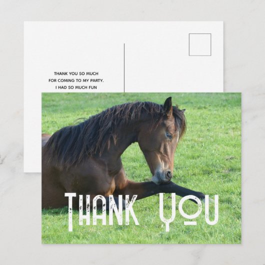  bruine paarden die in de gras liggen Dank u wel Briefkaart (Voorkant / Achterkant)