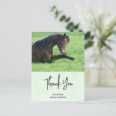  bruine paarden die in de gras liggen Dank u wel Briefkaart (Staand voorkant)