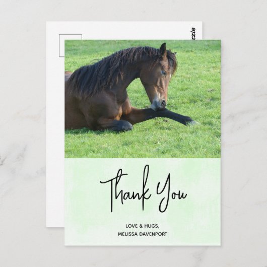  bruine paarden die in de gras liggen Dank u wel Briefkaart (Voorkant / Achterkant)