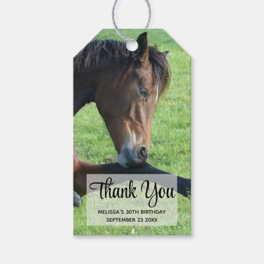  bruine paarden die in de gras liggen Dank u wel Cadeaulabel (Voorkant)