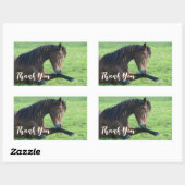 bruine paarden die in de gras liggen Dank u wel Rechthoekige Sticker (Vel)
