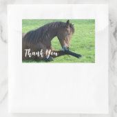 bruine paarden die in de gras liggen Dank u wel Rechthoekige Sticker (Tas)
