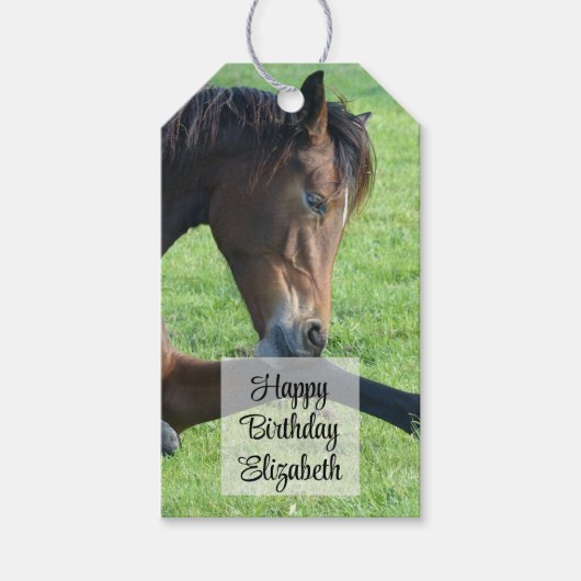  bruine paarden die in de Grass Birthday zijn gela Cadeaulabel (Voorkant)