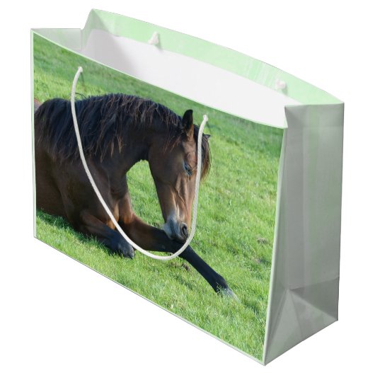 bruine paarden die in de Grass Birthday zijn gela Groot Cadeauzakje (Achterkant Gekanteld)