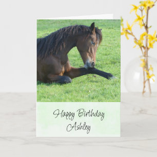 bruine paarden die in de Grass Birthday zijn gela Kaart