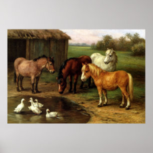bruine paarden en eenden landbouwhuisdieren poster