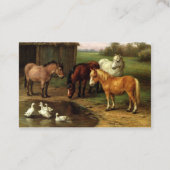bruine paarden en eenden landbouwhuisdieren visitekaartje (Achterkant)