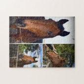 bruine paarden in een fotocollage, legpuzzel (Horizontaal)