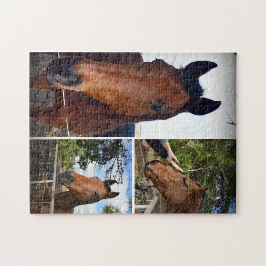 bruine paarden in een fotocollage, legpuzzel (Horizontaal)