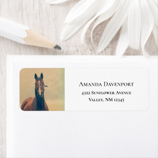 bruine paarden in een veld etiket (Insitu)