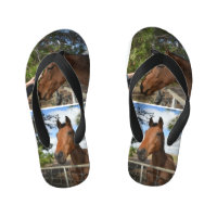 bruine paarden,