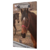 Bruine paarden klembord (Links)