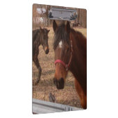 Bruine paarden klembord (Rechts)