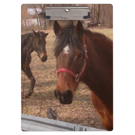 Bruine paarden klembord (Voorkant)