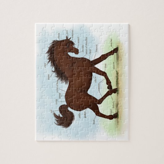 Bruine paardeneducatieve anatomie van paardachtige legpuzzel (Verticaal)