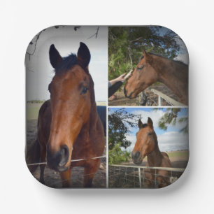 Bruine paardenfotocollage, papieren Borden Bordje