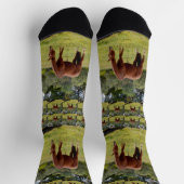 Bruine paardengrazing, Sokken van kuit (Top)