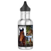 Bruine paardenkollage, waterflesje waterfles (Links)