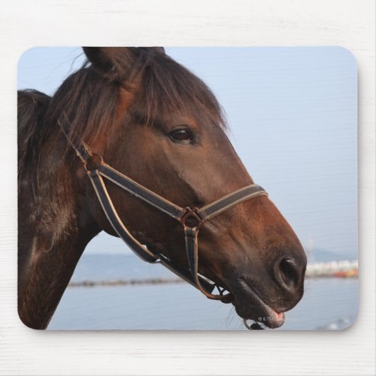 Bruine paardenkop muismat (Voorkant)