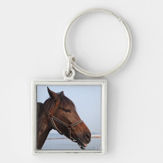 Bruine paardenkop sleutelhanger (Voorkant)