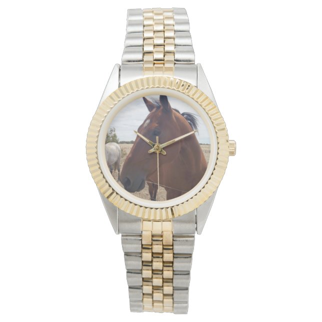bruine paardenmagie, horloge (Voorkant)