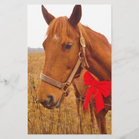 Bruine paardenrog briefpapier (Voorkant)