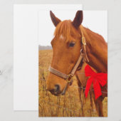 Bruine paardenrog briefpapier (Voorkant / Achterkant)