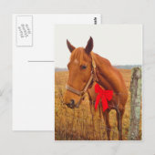 Bruine paarse roodbaars briefkaart (Voorkant / Achterkant)