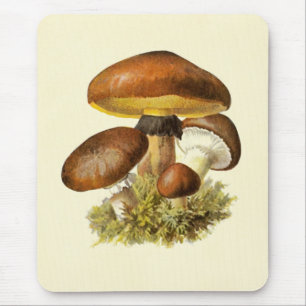 bruine paddenstoel muismat