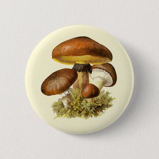 bruine paddenstoel ronde button 5,7 cm (Voorkant)