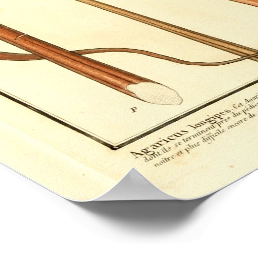  bruine paddenstoelen Franse kunst afdrukken Poster (Hoek)