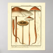  bruine paddenstoelen Franse kunst afdrukken Poster (Voorkant)