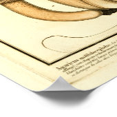  bruine paddenstoelen Franse kunst afdrukken Poster (Hoek)