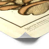 bruine paddenstoelen Franse kunst afdrukken Poster (Hoek)