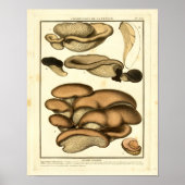  bruine paddenstoelen Franse kunst afdrukken Poster (Voorkant)