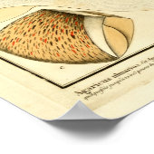  bruine paddenstoelen Franse kunst afdrukken Poster (Hoek)